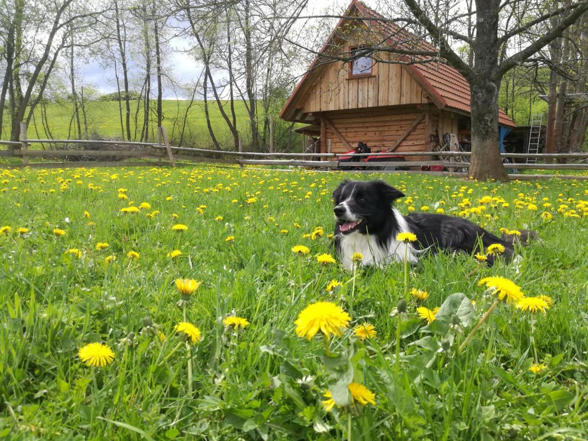 Holiday Home Holiday Raj Bešeňová Esterno foto